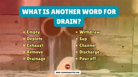 synonyms of drain|opposite of drained.